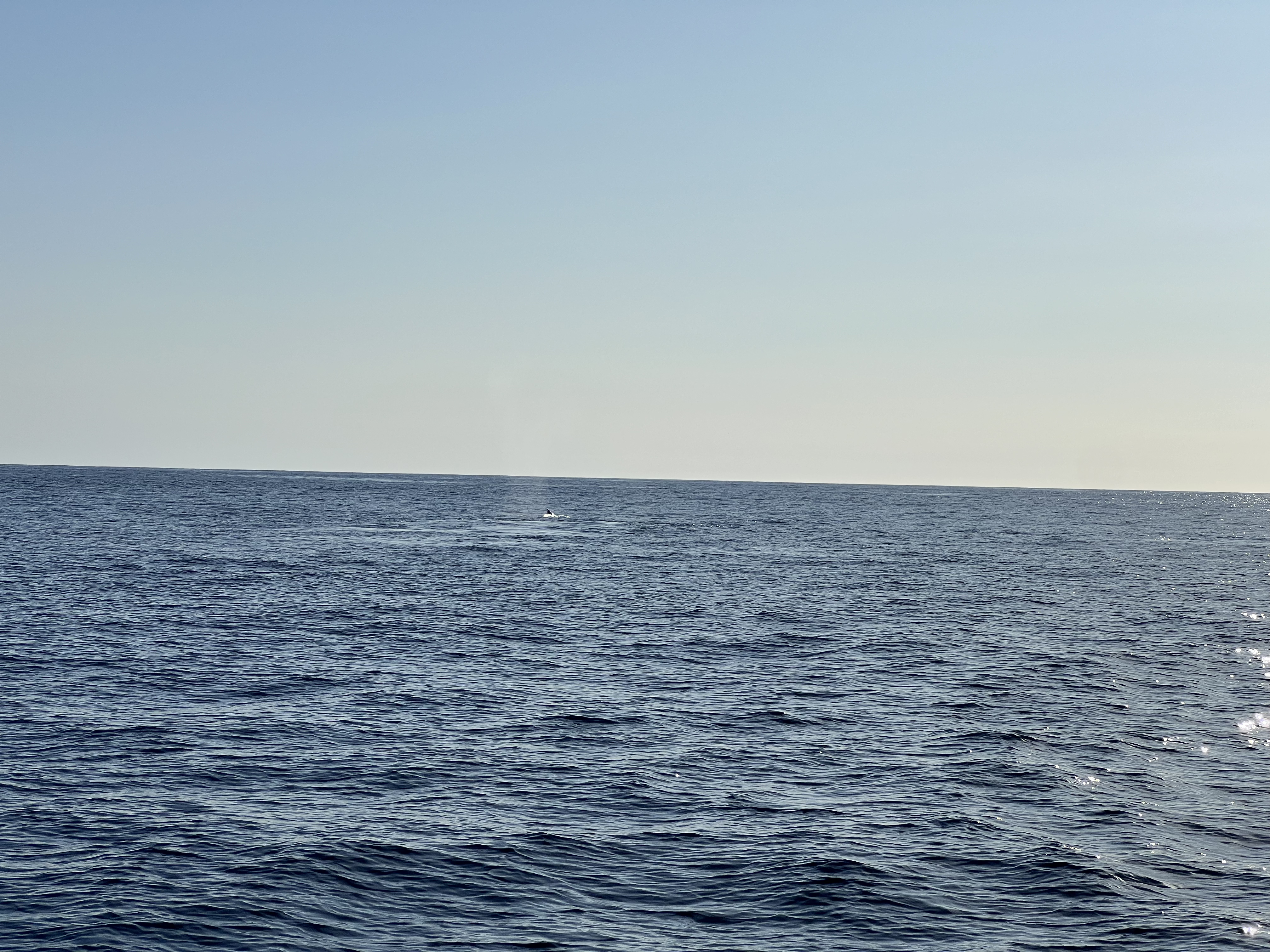 ./2024/13 - Cabo/IMG_4684.jpg